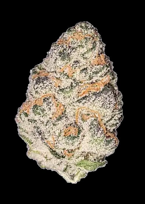 Melon Mosh Auto > Original Sensible Seeds | Autoflowering Cannabis   |  Indica